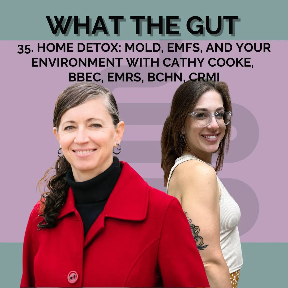 Ep. 35 | Home Detox: Mold, EMFs, and Your Environment with Cathy Cooke, BBEC, EMRS, BCHN, CRMI