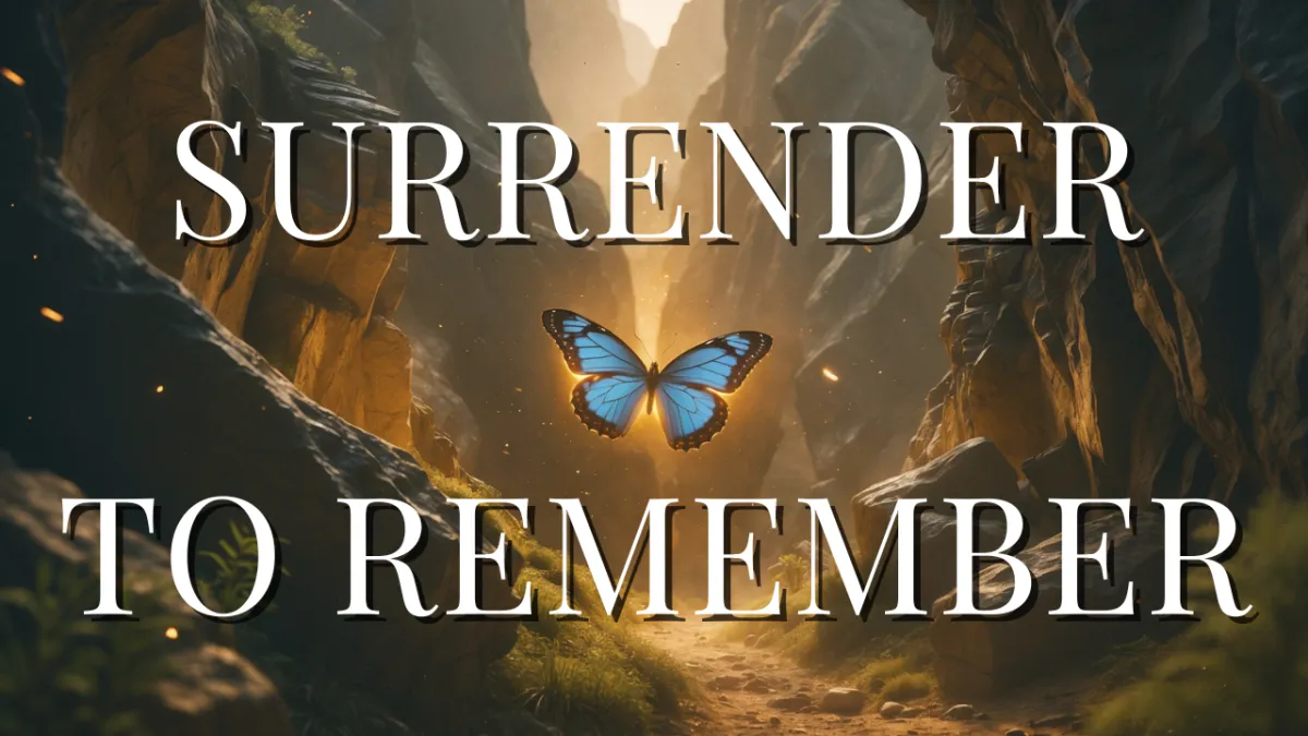 You Don’t Need to Find Yourself. You Need to Surrender to Yourself