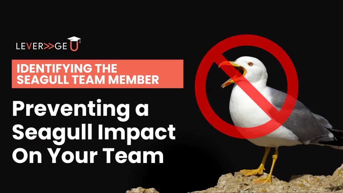 Identifying the Seagull Team Member: Preventing a Seagull Impact on Your Team