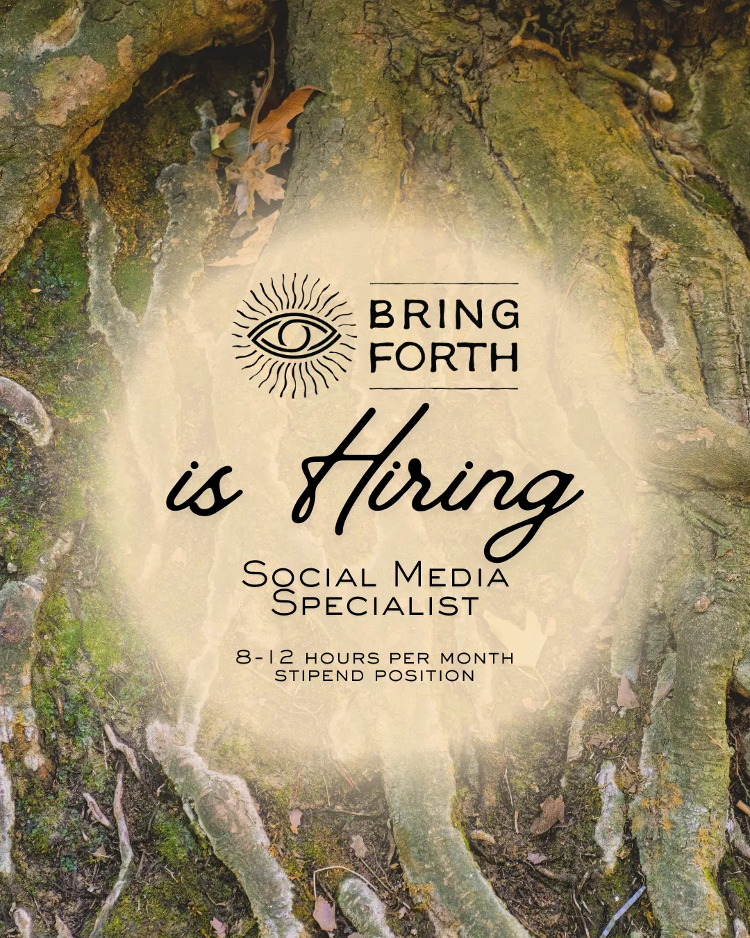 Bring Forth Is Hiring