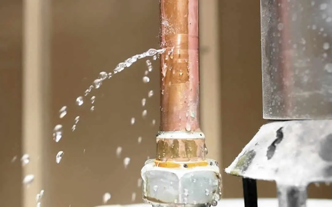 How Unfixed Plumbing Leaks Can Damage Your Home