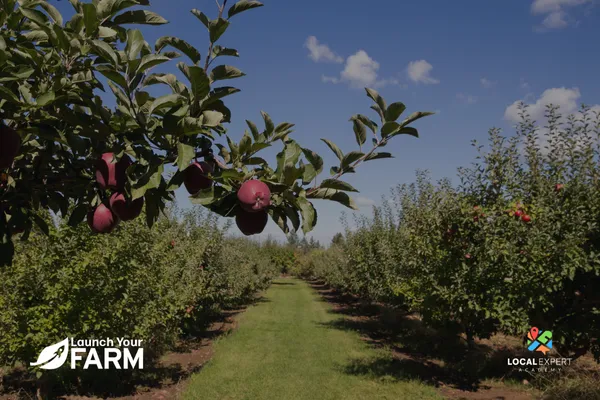 The Farming Food Chain: Why Farming Is the Future of Real Estate