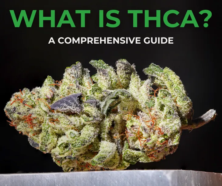 What is THCa? A Comprehensive Guide