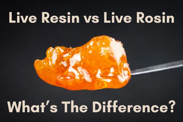 Live Rosin vs Live Resin