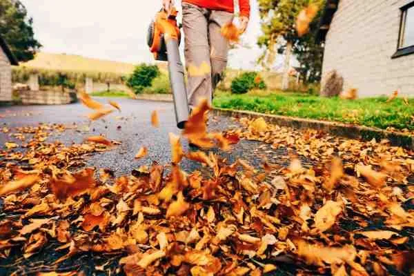 leaf removal tulsa oklahoma