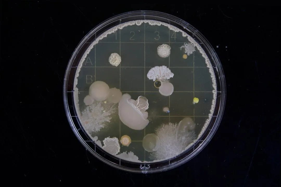The Power of Danolyte HOCL: Why Hypochlorous Acid is the Future of Safe Disinfection