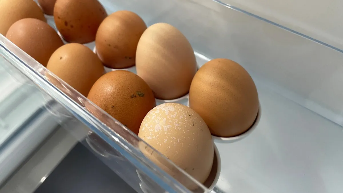 The Salmonella Crisis Escalates: 1.7 Million Dozen Eggs Recalled as Illnesses Mount