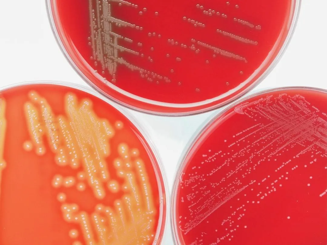 Protecting Your Family From E coli The Danolyte Fruit Veggie Wash Solution