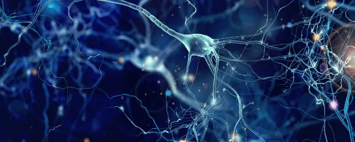 From Burning to Balanced: The Science Behind Nerve Regeneration