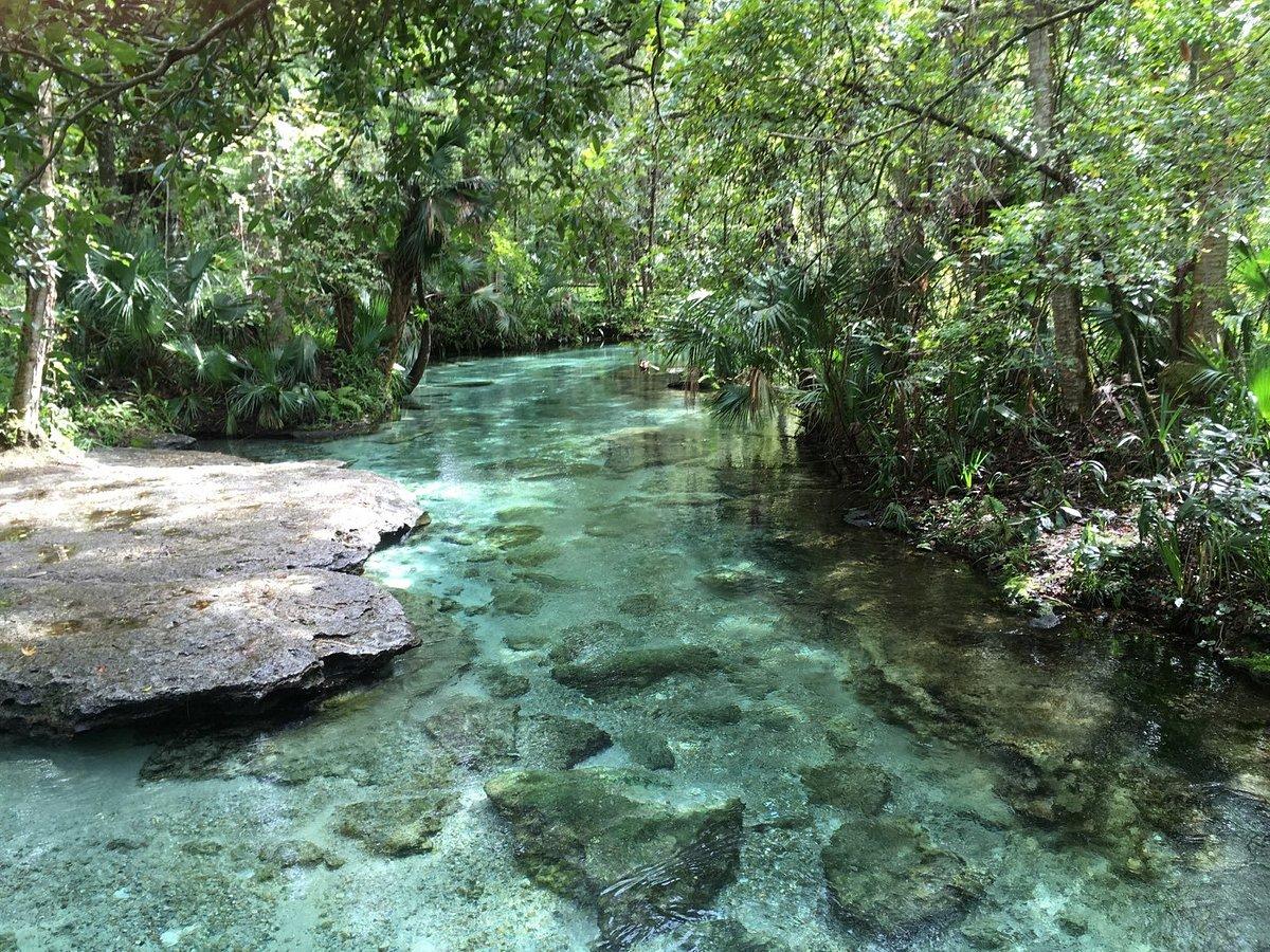 Escape to Nature: Kelly Park (Rock Springs) Adventure