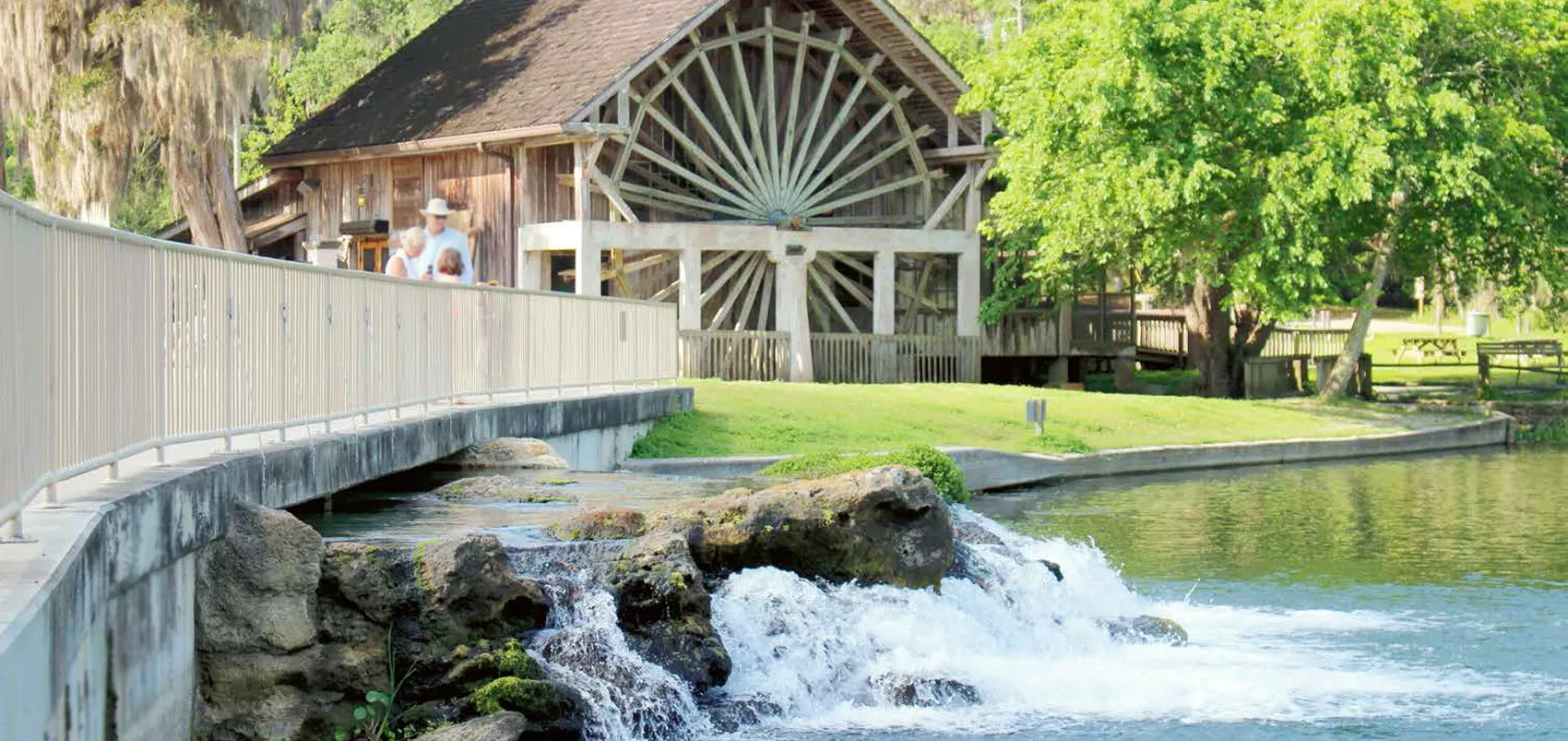 Dive into Nature’s Best at De Leon Springs State Park