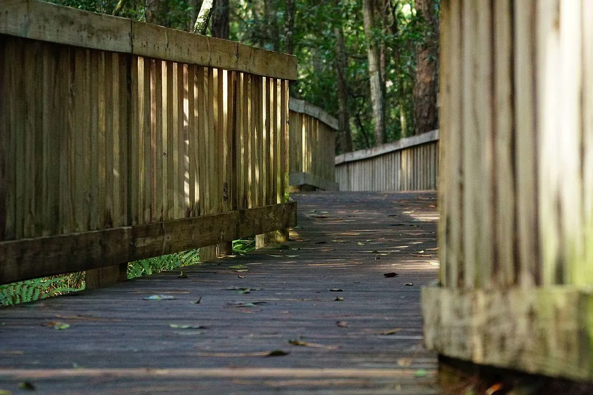 Unplug, Unwind, and Explore: Your Guide to the Tibet-Butler Nature Preserve in Orlando, FL