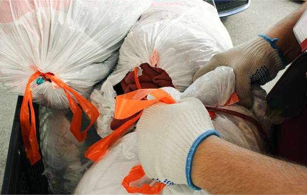 Garbage Disposal Repair Cost in Stafford VA: 2025 Price Guide