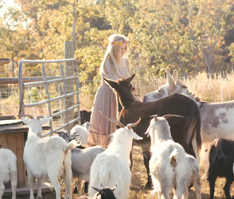Top 5 Tips for Raising Happy & Healthy Goats