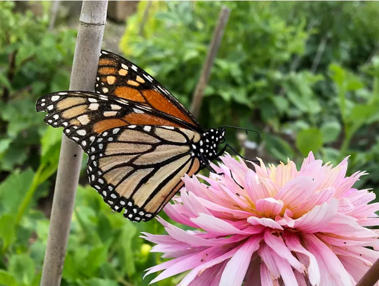 What Hides in the Deep Recess of Your Soul?