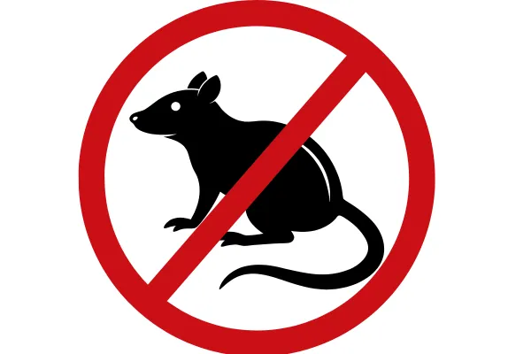 Best Pest Control Company in Anne Arundel County MD | Rogers Pest Control LLC