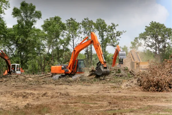 Heavy construction equipment clearing trees and grading land at a large development site, representing early site preparation for a hyperscale AI data center project.