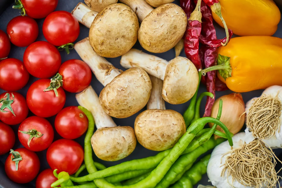 Nourishing Aurora: A Visit to the Marie Wilkinson Food Pantry & Garden