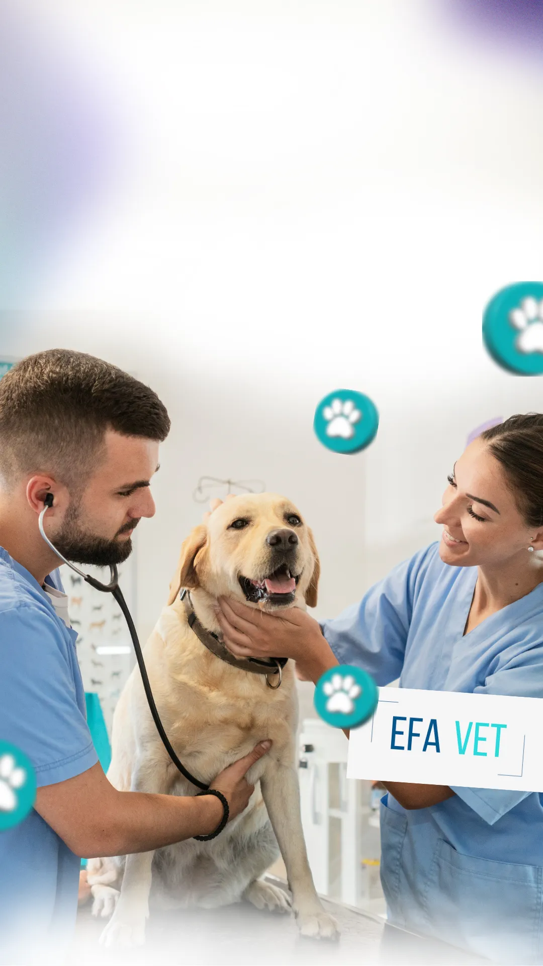 Mãos enluvadas examinando a gengiva de um cachorro para verificar a coloração da mucosa.