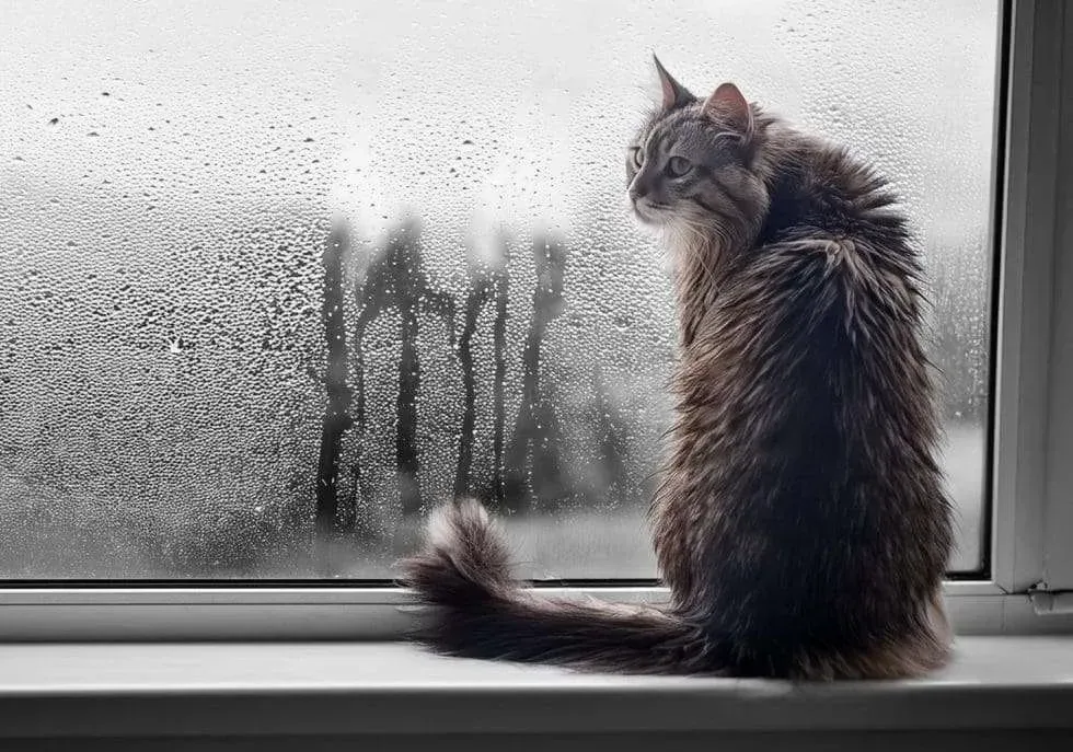 How to beat condensation