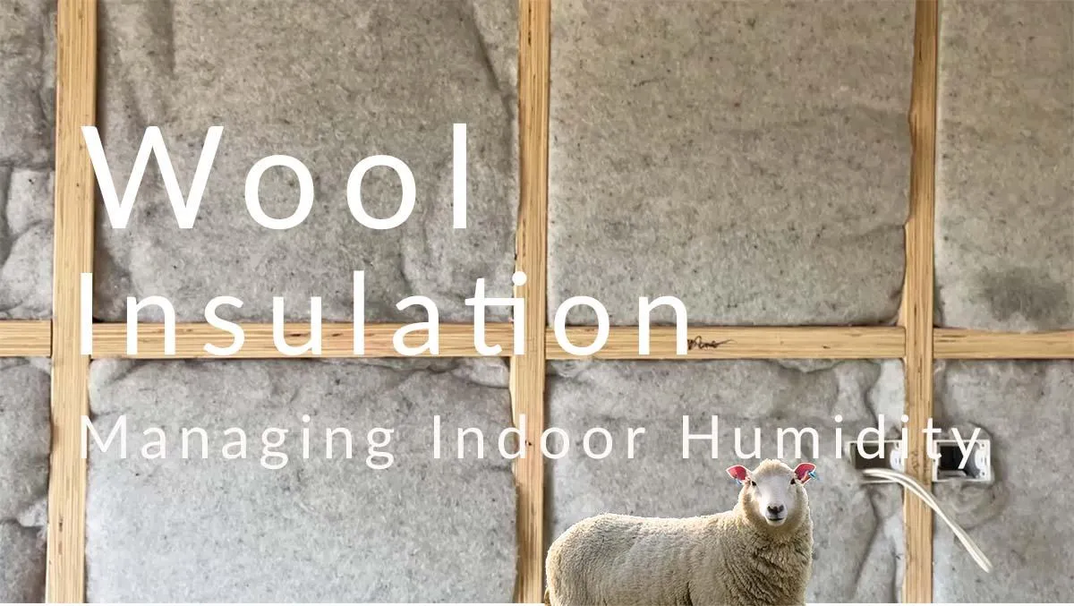 Managing humidity with Sheep Wool insulation - Copy