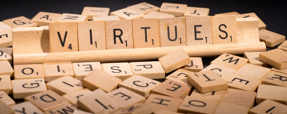 The Discipline Virtue