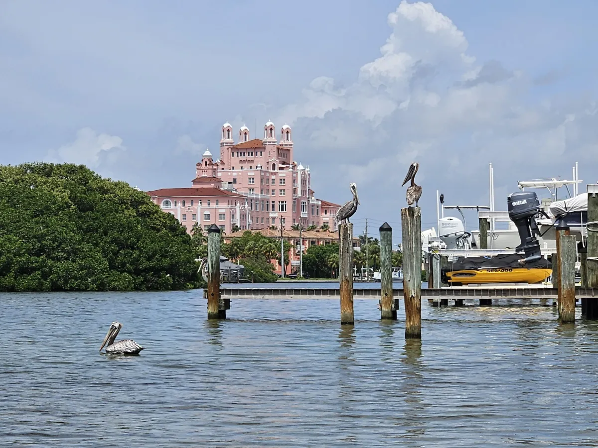 Birds overlooking water