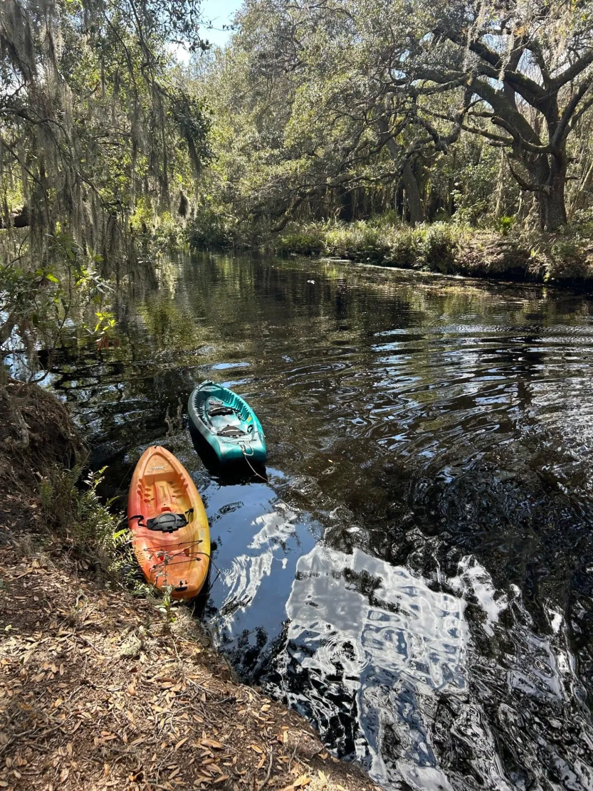 Two Kayaks in the lake