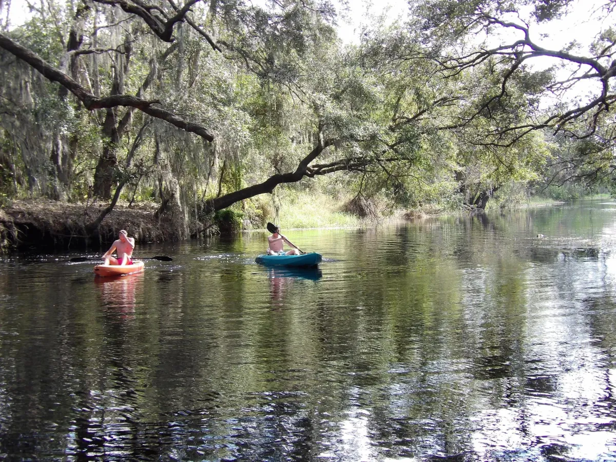 Kayak duo in Lake Toho