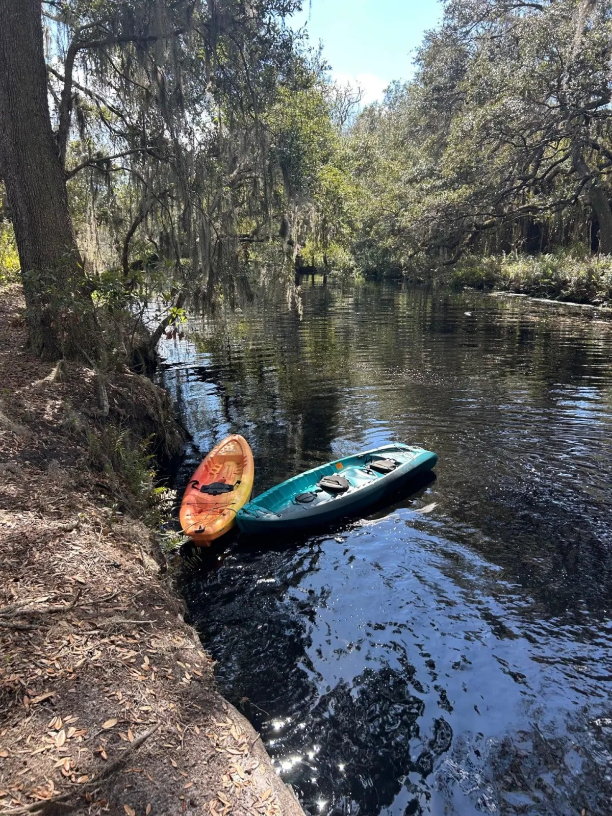 Kayaks in Water
