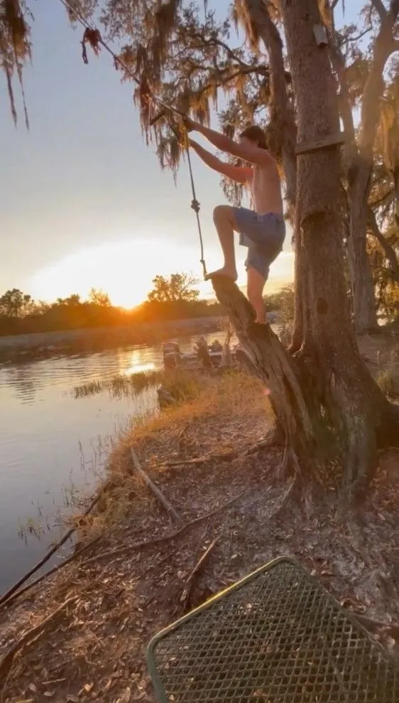 Person getting ready to swing on a tree