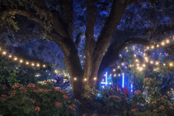 Creator's Farm and Garden: The Hidden Garden Venue of Venice