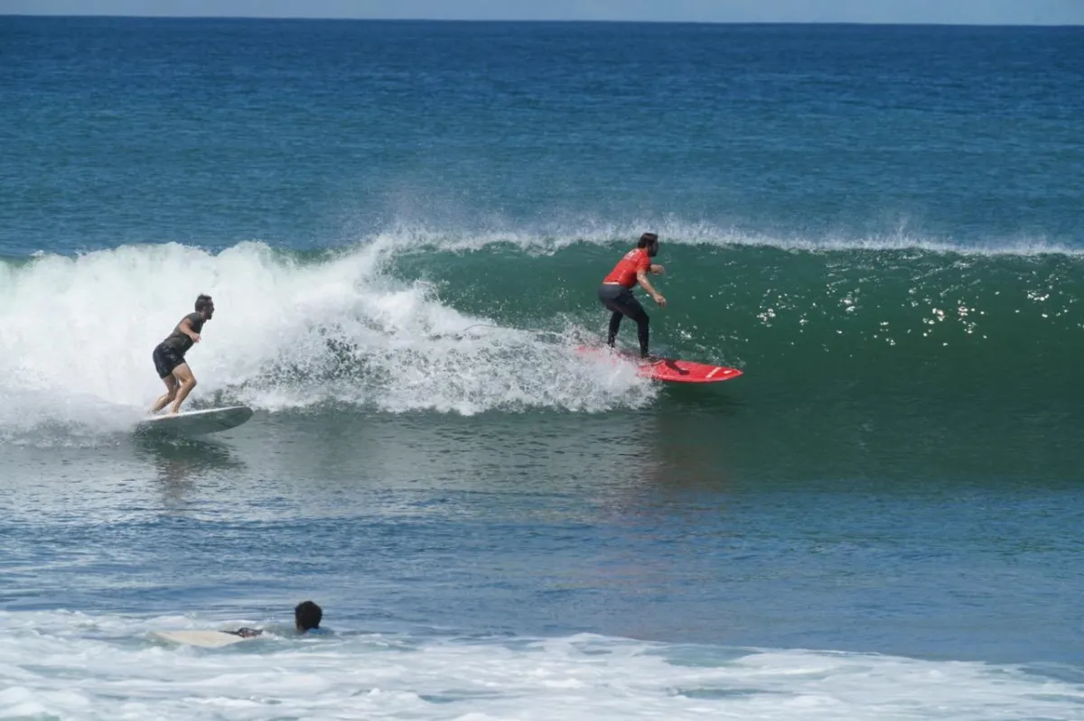 Zack and Riggs Surfing