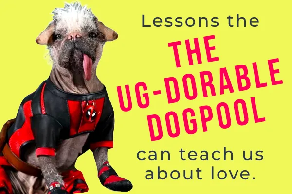 Lessons The Ug-Dorable Dogpool can teach us about love.