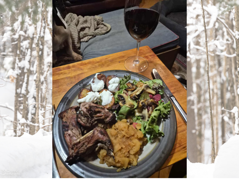 A Day in the Life at The Off Grid Ark: The Squirrel, The Deer, and a Whole Lot of Thinking