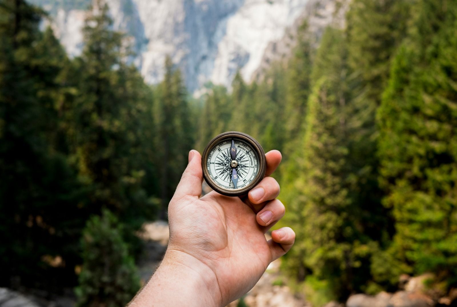 Cover Coaching vs. Mentorship: Which Is Right for Your Business