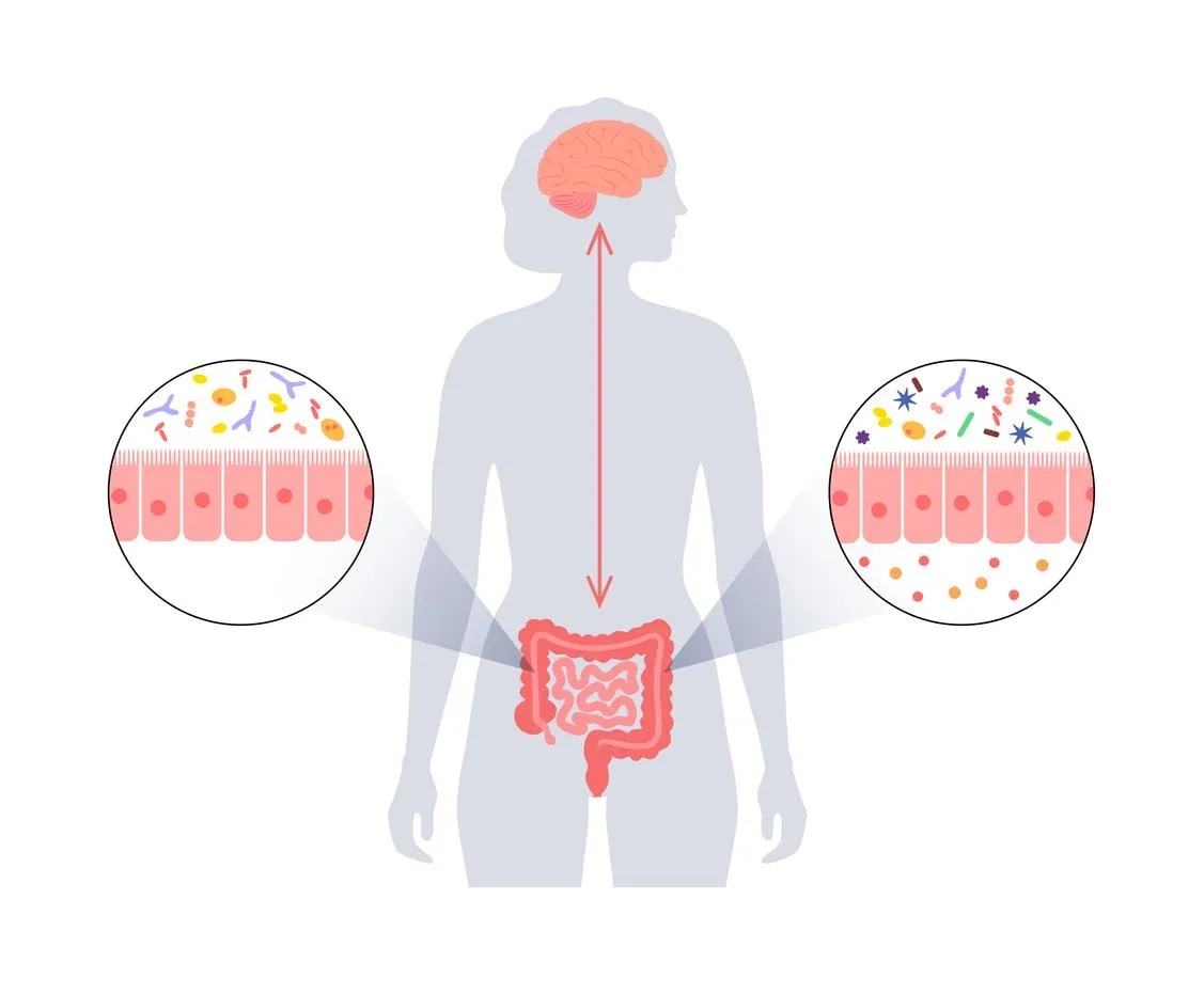 Woman Gut Brain Connection