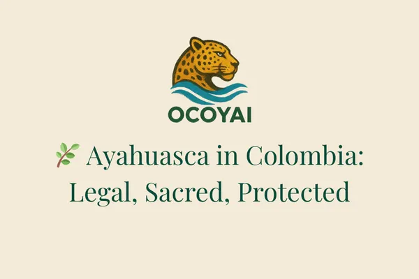 legality of ayahuasca in colombia