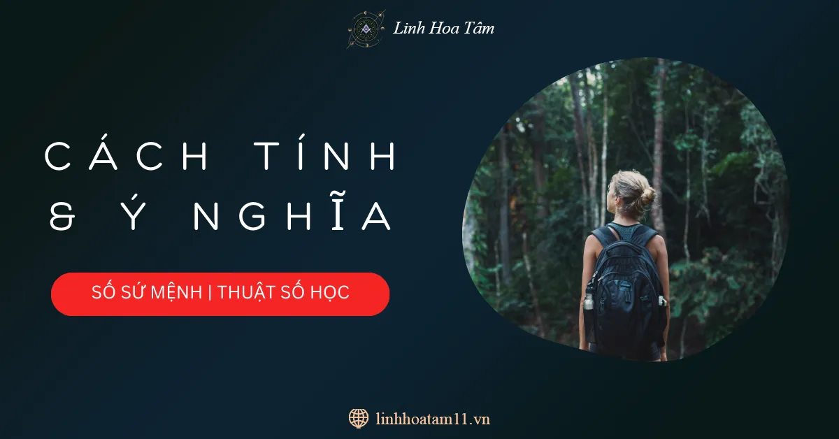  Chỉ Số Sứ Mệnh Là Gì? Cách Tính Con Số Sứ Mệnh và Ý Nghĩa