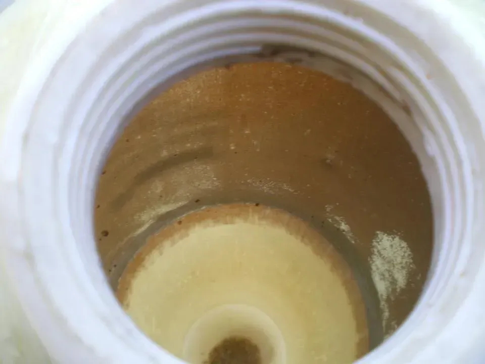 Biofilm