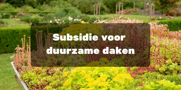 Subsidies in 2024 & 2025 voor het Verduurzamen van Jouw Dak