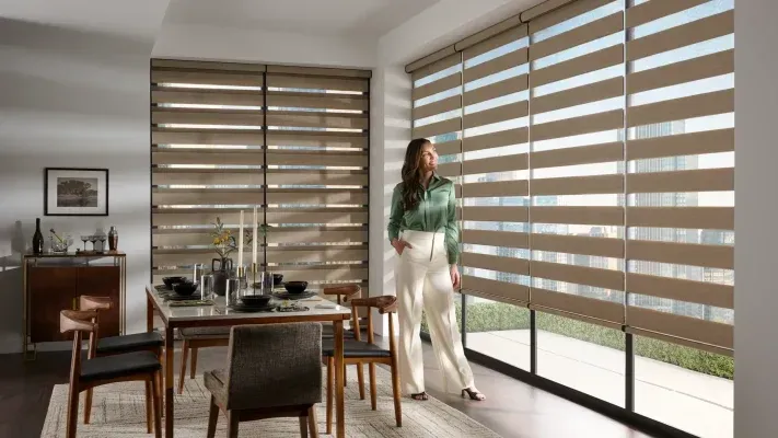 Neutral-toned Zebra Shades on a large window in a modern, stylish living room in Houston, TX.