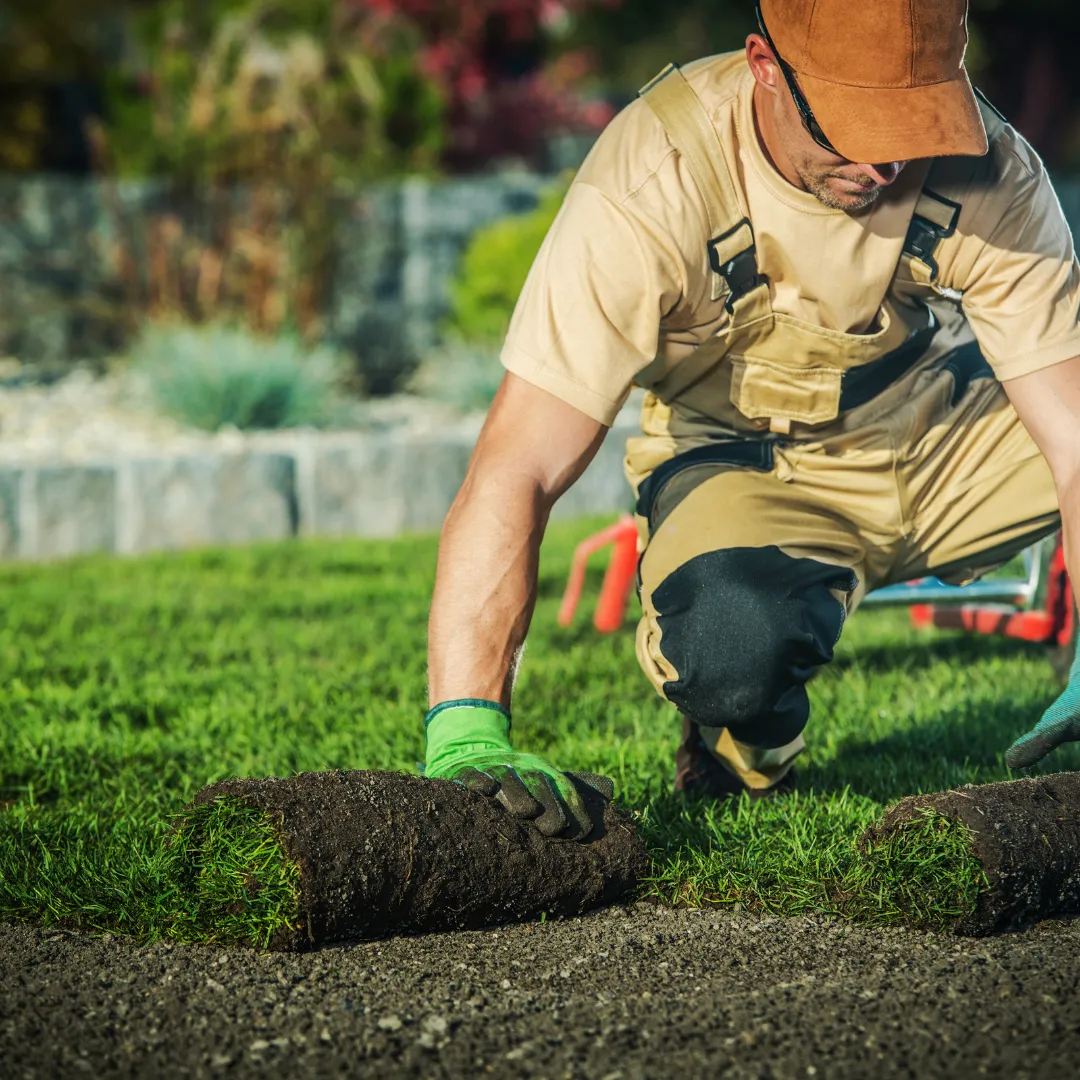 5 conseils pour maintenir un jardin en bonne santé à Sainte-Agnès tout au long de l'année