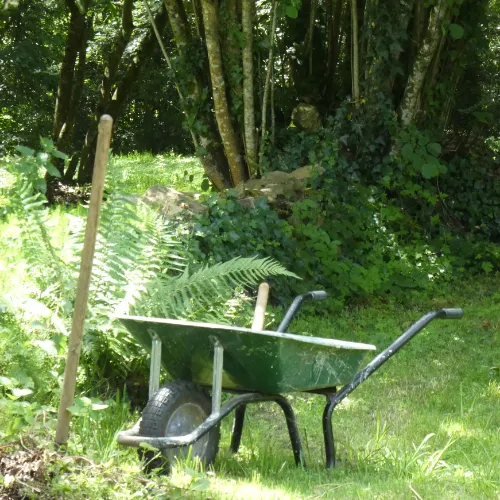 Pourquoi choisir un paysagiste professionnel à Nice pour l'entretien de votre jardin ?