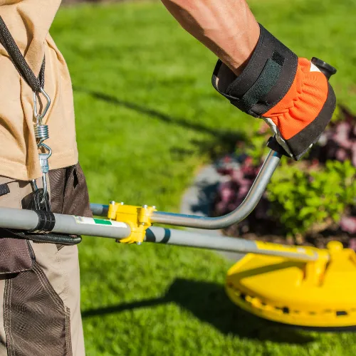 Comment entretenir vos jardins à Nice avec les experts de PACA Débroussaillage 06