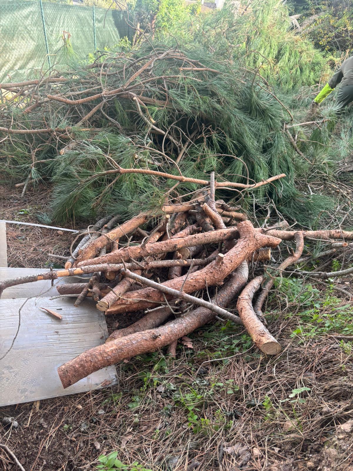 Pourquoi le débroussaillage est essentiel pour les jardins et terrains de Saint-Laurent du Var et ses environs ?