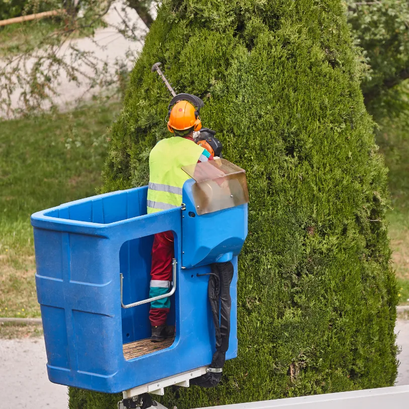 Débroussaillage obligatoire : ce que dit la loi et comment PACA Débroussaillage 06 vous accompagne