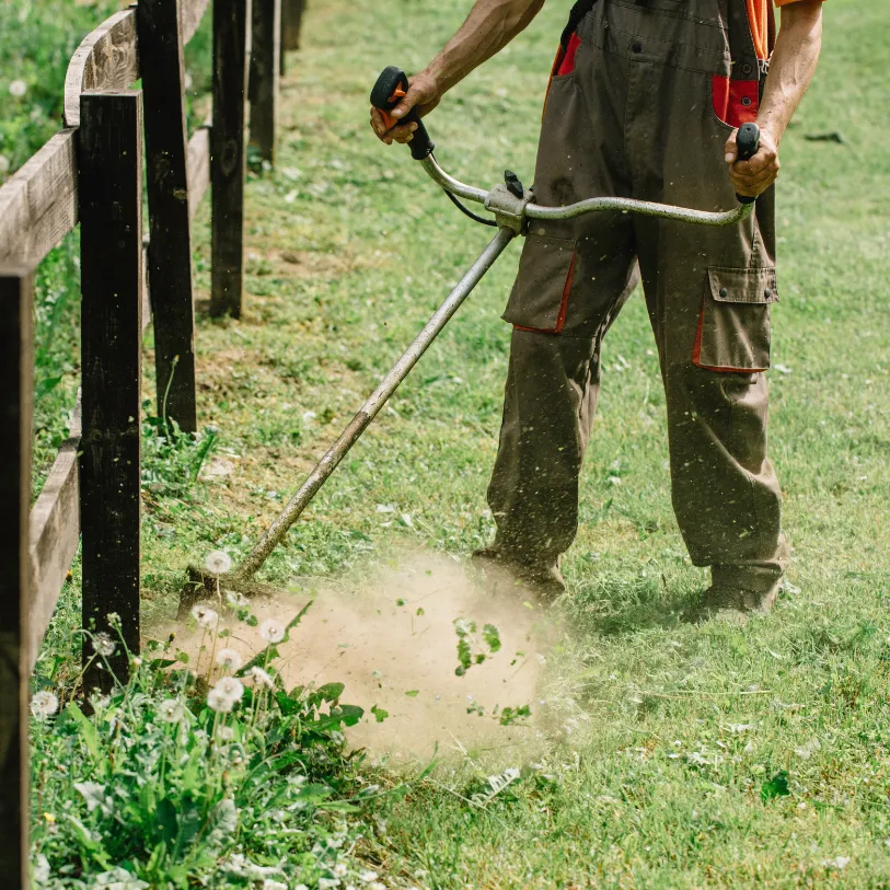 Les avantages d’un entretien régulier de votre jardin avec un paysagiste professionnel à Nice