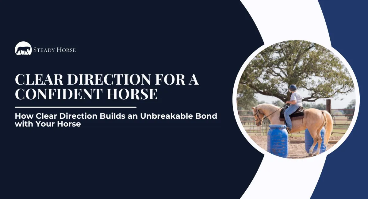 How Clear Direction Builds an Unbreakable Bond with Your Horse