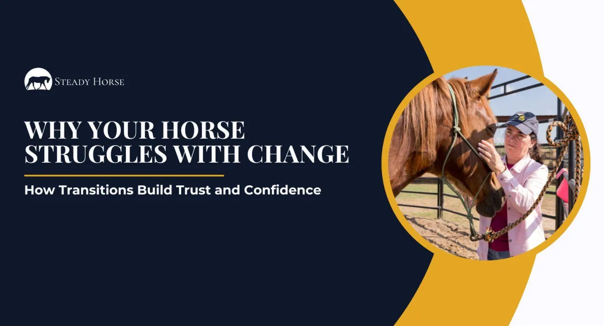 Why Your Horse Struggles with Change: How Transitions Build Trust and Confidence